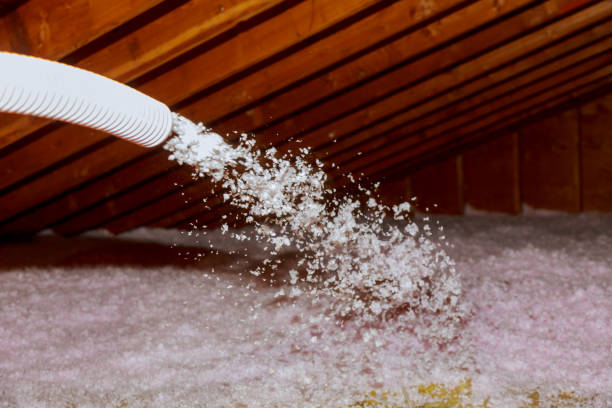 Best Cellulose Insulation in Charleston, MO