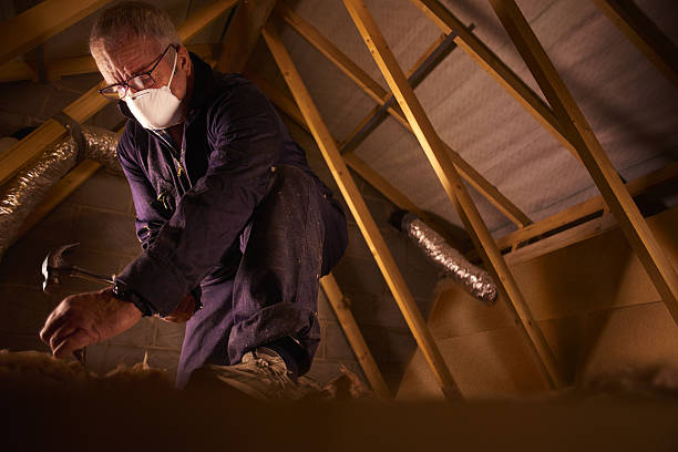 Types of Insulation We Offer in Charleston, MO